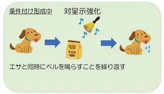 欧宝体育官网-本菲卡转会期更衣室发声夏洛特黄蜂门线救险备战国王杯，这操作让人直呼：集结日皇家马德里止住颓势的简单介绍